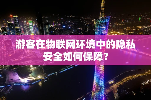 游客在物联网环境中的隐私安全如何保障？