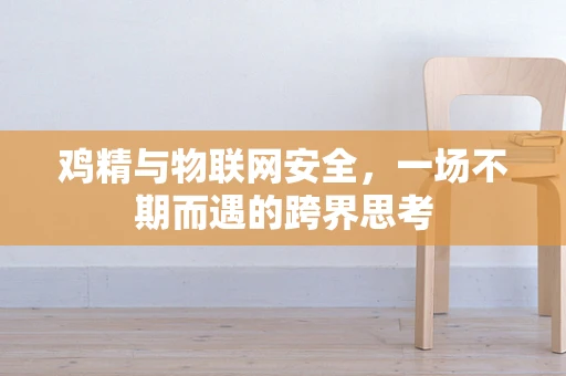 鸡精与物联网安全，一场不期而遇的跨界思考