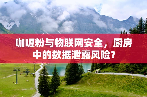 咖喱粉与物联网安全，厨房中的数据泄露风险？