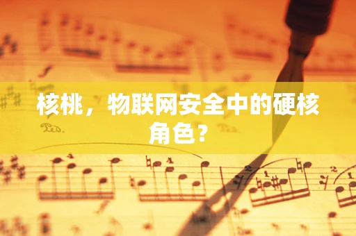 核桃，物联网安全中的硬核角色？