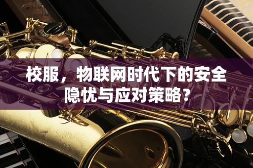 校服，物联网时代下的安全隐忧与应对策略？