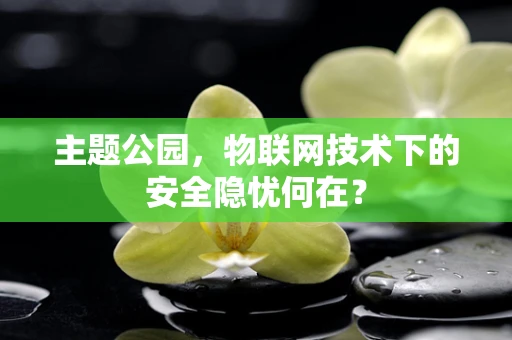 主题公园，物联网技术下的安全隐忧何在？