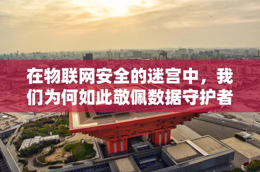 在物联网安全的迷宫中，我们为何如此敬佩数据守护者？