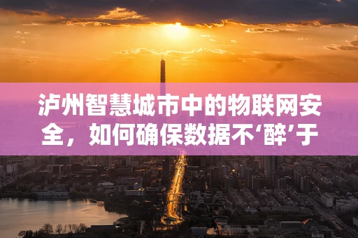 泸州智慧城市中的物联网安全，如何确保数据不‘醉’于酒城？