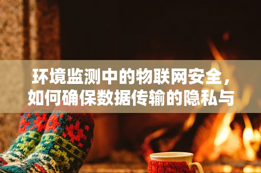 环境监测中的物联网安全，如何确保数据传输的隐私与安全？