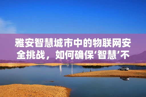 雅安智慧城市中的物联网安全挑战，如何确保‘智慧’不‘失守’？