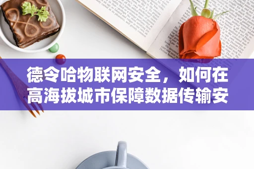 德令哈物联网安全，如何在高海拔城市保障数据传输安全？