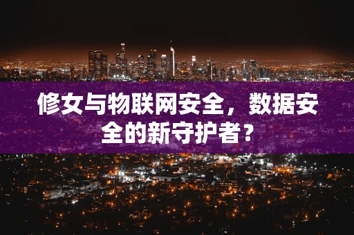 修女与物联网安全，数据安全的新守护者？