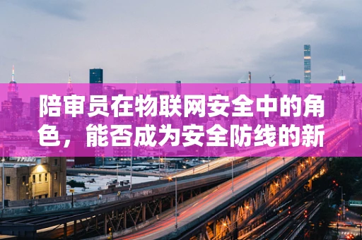 陪审员在物联网安全中的角色，能否成为安全防线的新力量？