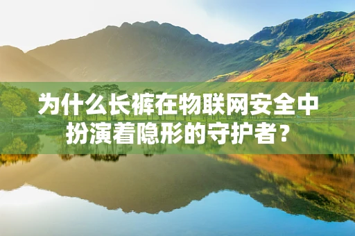为什么长裤在物联网安全中扮演着隐形的守护者？