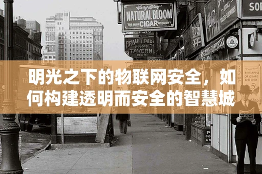 明光之下的物联网安全，如何构建透明而安全的智慧城市？