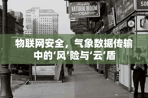 物联网安全，气象数据传输中的‘风’险与‘云’盾
