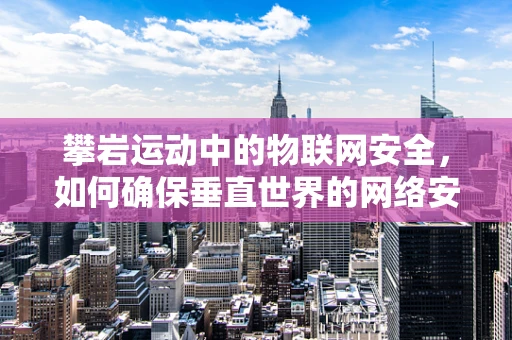 攀岩运动中的物联网安全，如何确保垂直世界的网络安全？