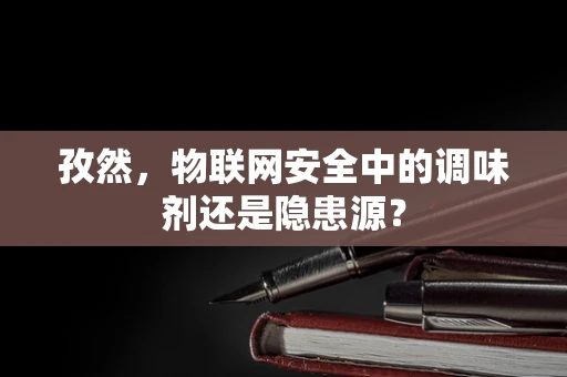 孜然，物联网安全中的调味剂还是隐患源？