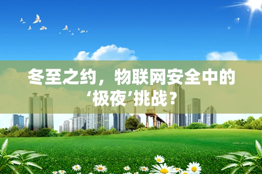 冬至之约，物联网安全中的‘极夜’挑战？