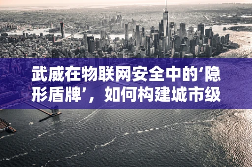 武威在物联网安全中的‘隐形盾牌’，如何构建城市级防御体系？
