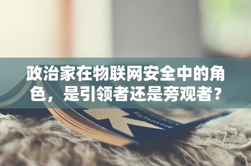 政治家在物联网安全中的角色，是引领者还是旁观者？