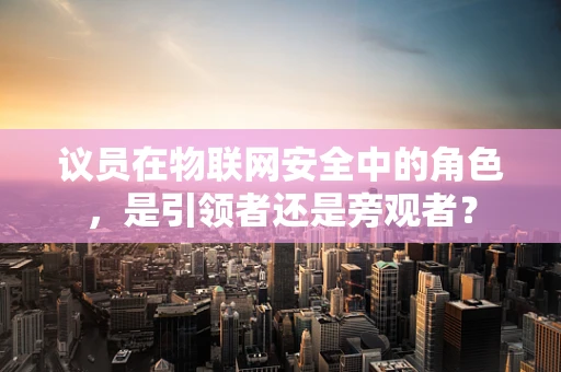 议员在物联网安全中的角色，是引领者还是旁观者？