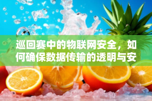 巡回赛中的物联网安全，如何确保数据传输的透明与安全？