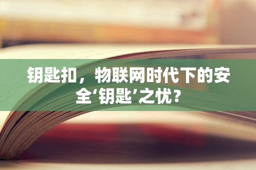 钥匙扣，物联网时代下的安全‘钥匙’之忧？