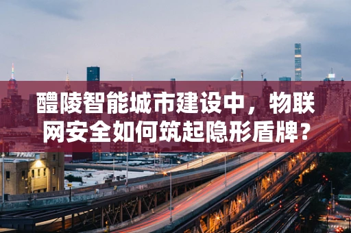 醴陵智能城市建设中，物联网安全如何筑起隐形盾牌？