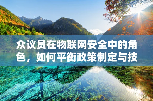 众议员在物联网安全中的角色，如何平衡政策制定与技术创新？