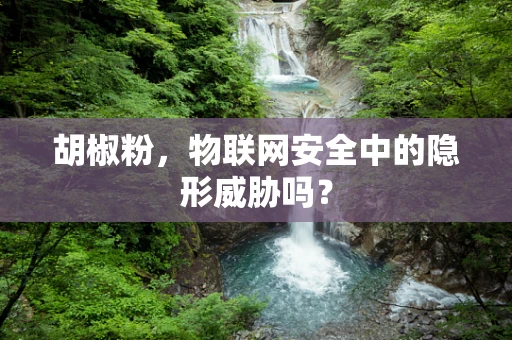 胡椒粉，物联网安全中的隐形威胁吗？