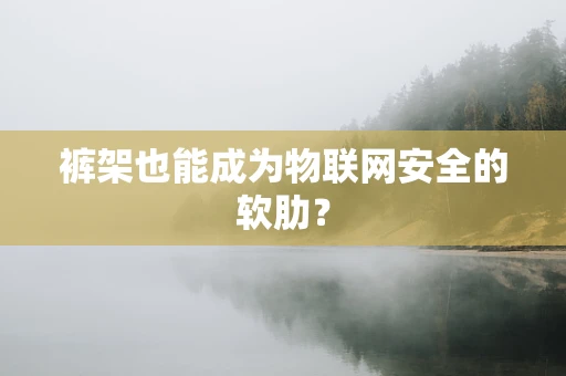 裤架也能成为物联网安全的软肋？