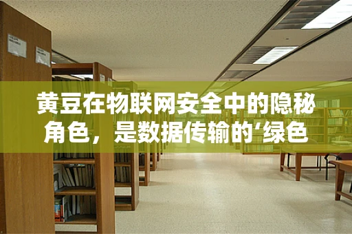 黄豆在物联网安全中的隐秘角色，是数据传输的‘绿色卫士’吗？