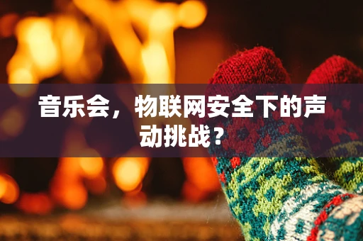 音乐会，物联网安全下的声动挑战？