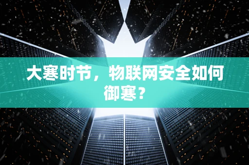 大寒时节，物联网安全如何御寒？