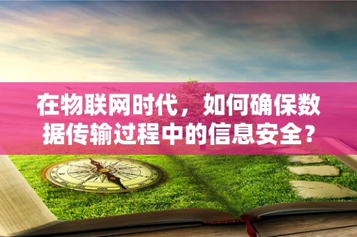在物联网时代，如何确保数据传输过程中的信息安全？