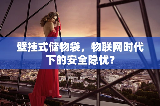 壁挂式储物袋，物联网时代下的安全隐忧？