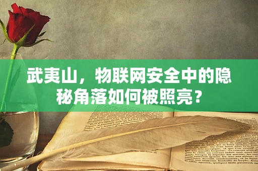 武夷山，物联网安全中的隐秘角落如何被照亮？