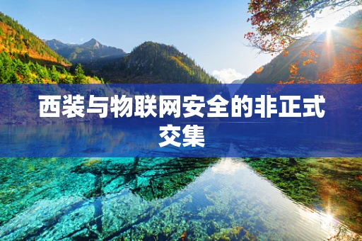 西装与物联网安全的非正式交集
