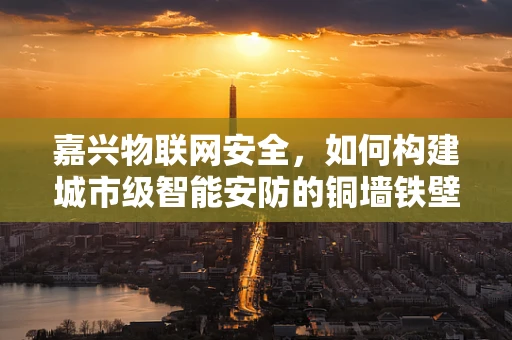 嘉兴物联网安全，如何构建城市级智能安防的铜墙铁壁？