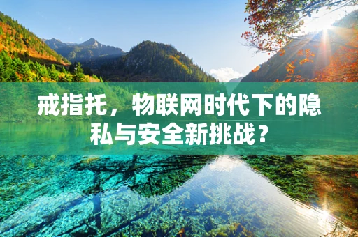 戒指托，物联网时代下的隐私与安全新挑战？