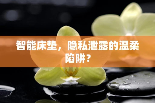 智能床垫，隐私泄露的温柔陷阱？
