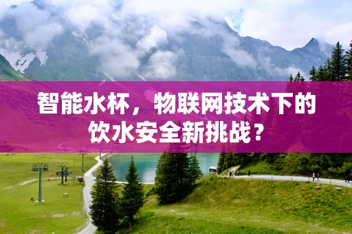 智能水杯，物联网技术下的饮水安全新挑战？