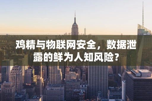 鸡精与物联网安全，数据泄露的鲜为人知风险？