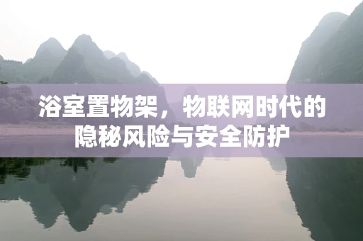 浴室置物架，物联网时代的隐秘风险与安全防护