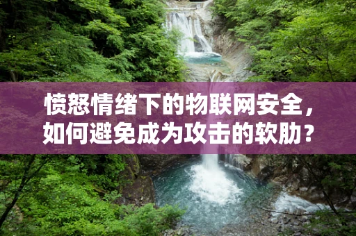 愤怒情绪下的物联网安全，如何避免成为攻击的软肋？