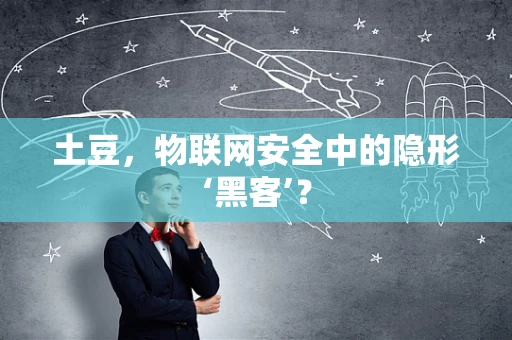 土豆，物联网安全中的隐形‘黑客’？
