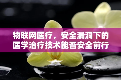 物联网医疗，安全漏洞下的医学治疗技术能否安全前行？