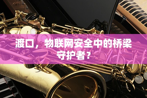 渡口，物联网安全中的桥梁守护者？
