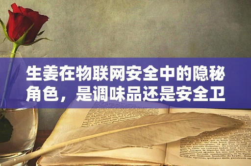 生姜在物联网安全中的隐秘角色，是调味品还是安全卫士？