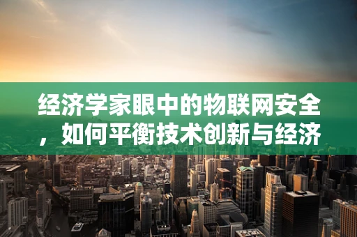 经济学家眼中的物联网安全，如何平衡技术创新与经济安全？