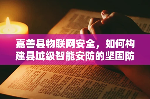 嘉善县物联网安全，如何构建县域级智能安防的坚固防线？
