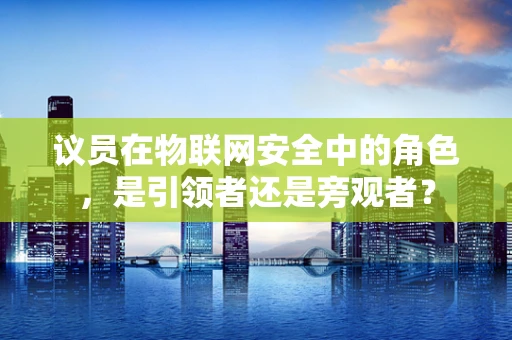 议员在物联网安全中的角色，是引领者还是旁观者？