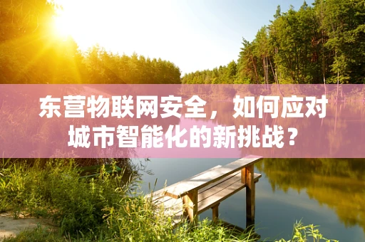 东营物联网安全，如何应对城市智能化的新挑战？